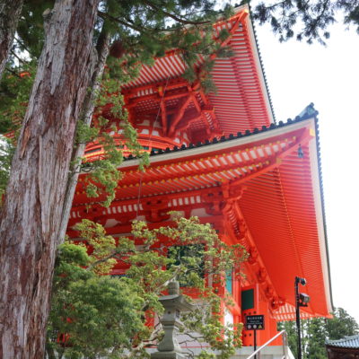 A Day in Koyasan